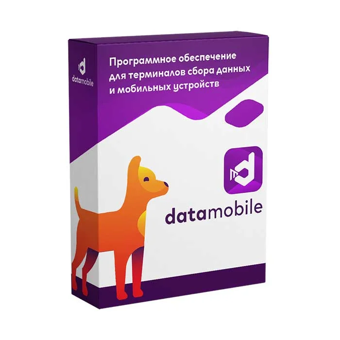 DataMobile, версия Стандарт - подписка на 1 месяц
