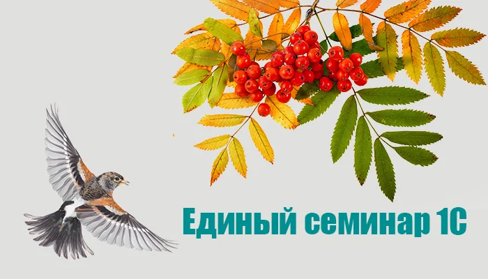 Единый семинар 1С – 8 октября 2025 года